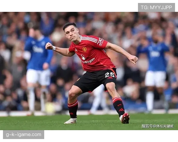 伊德里斯·盖耶重返英超表现稳健，为球队注入新活力